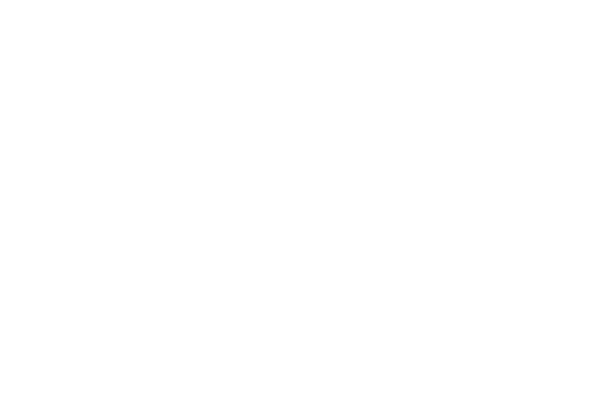 Uma voz chamada Francisca